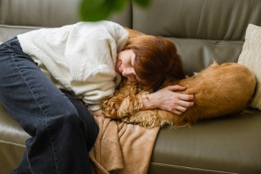 Şirin, genç, beyaz kadın ev sahibi Amerikan cocker spaniel 'i okşar ve yüzünü ona bastırır. Yukarıdan görüntüle.