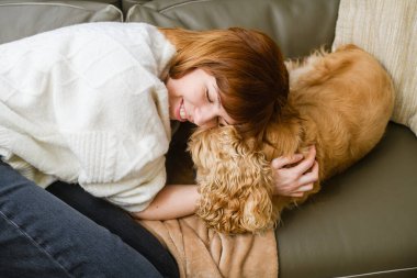 Şirin, genç, beyaz kadın ev sahibi Amerikan cocker spaniel 'i okşar ve yüzünü ona bastırır. Yukarıdan görüntüle.