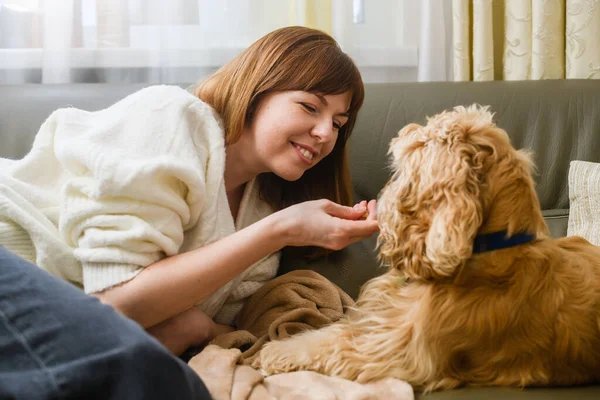 Young Woman Her American Cocker Spaniel Sitting Couch Woman Feeds — Stock Photo, Image