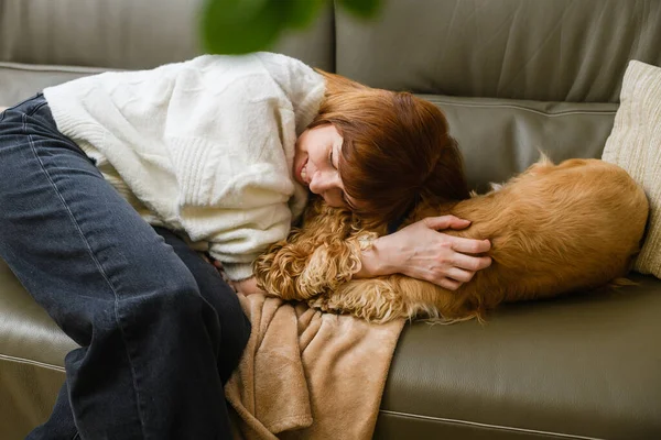 Şirin, genç, beyaz kadın ev sahibi Amerikan cocker spaniel 'i okşar ve yüzünü ona bastırır. Yukarıdan görüntüle.