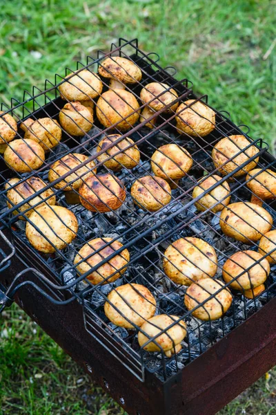 Close Mushrooms Grilled Barbecue Grill Gridiron — Stock Photo, Image