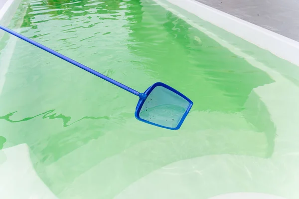 Cleaning Swimming Pool Mesh Skimmer Long Net Cleans Leaves Insects — Stock Photo, Image