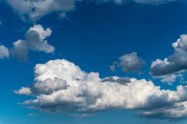 Güzel kümülüs bulutları. Mavi gökyüzü. Hayvan şeklinde bulut.