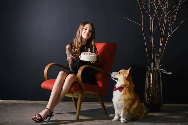 A teenage girl sits in a red chair holding a birthday cake. The corgi dog wears a red bow tie and sits next to the chair. The dog looks at the cake.