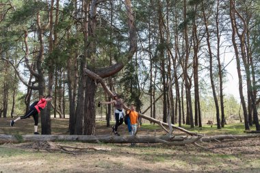 Ormanda yürüyüş yapan arkadaşlar. Kızlar bir çam ormanında düşmüş bir kütükte dengede duruyorlar..