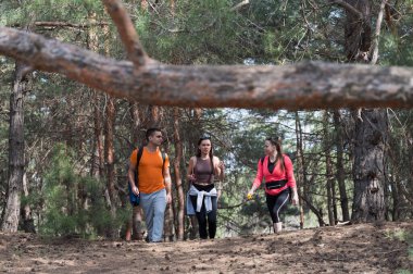 Üç arkadaş ormanda yürüyorlar. Üç arkadaş ormanda yürüyorlar. Ormanda yürüyüş yapan yürüyüşçüler..