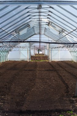 Büyük boş bir seranın içi. Temiz, sürülmüş toprak ekime hazır. Şeffaf plastik duvarlar, metal çerçeve yapısı ve doğal ışık altında sulama sistemi..