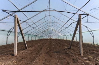 Büyük boş bir seranın içi. Temiz, sürülmüş toprak ekime hazır. Şeffaf plastik duvarlar, metal çerçeve yapısı ve doğal ışık altında sulama sistemi..