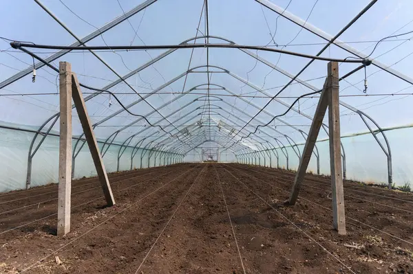 Büyük boş bir seranın içi. Temiz, sürülmüş toprak ekime hazır. Şeffaf plastik duvarlar, metal çerçeve yapısı ve doğal ışık altında sulama sistemi..