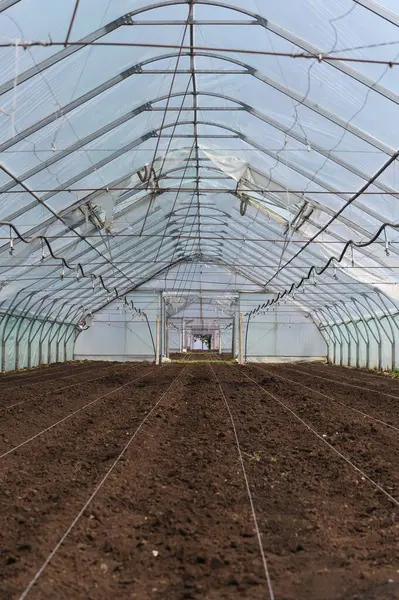 Büyük boş bir seranın içi. Temiz, sürülmüş toprak ekime hazır. Şeffaf plastik duvarlar, metal çerçeve yapısı ve doğal ışık altında sulama sistemi..