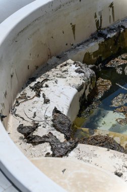 İhmal edilmiş bir yüzme havuzunun yakından görüntüsü, algler, kirli adımlar, ve bulanık, durgun su, güneşli bir günde dışarı çıkarıldı,.