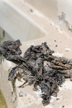 İhmal edilmiş bir yüzme havuzunun yakından görüntüsü, algler, kirli adımlar, ve bulanık, durgun su, güneşli bir günde dışarı çıkarıldı,.