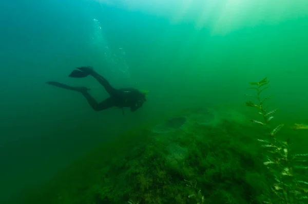 SCUBA diver exploring a murky inland lake with dappled light. High quality photo