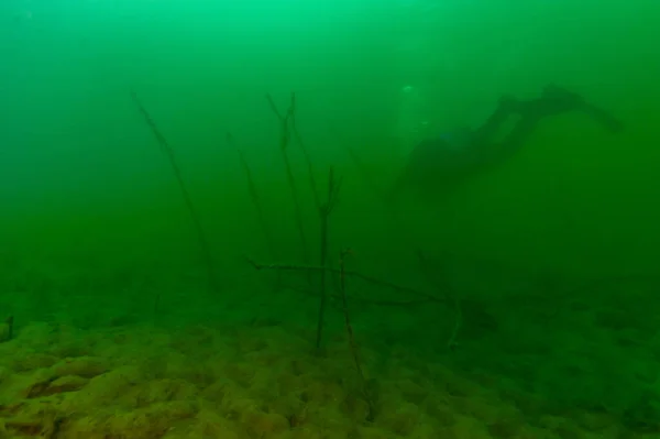 Buceador Scuba Explorando Oscuro Lago Interior Con Árboles Muertos Foto —  Fotos de Stock