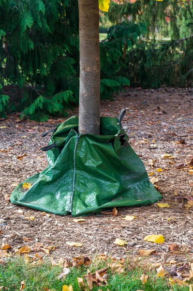 Bewässerungsbeutel Baum Grüner Wasserbeutel Für Neu Gepflanzten Baum Hochwertiges Foto — Stockfoto