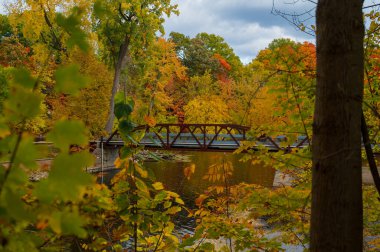 Island Park Grand Ledge 'deki köprüyü çevreleyen canlı sonbahar renkleri, kalp krizi. Yüksek kalite fotoğraf