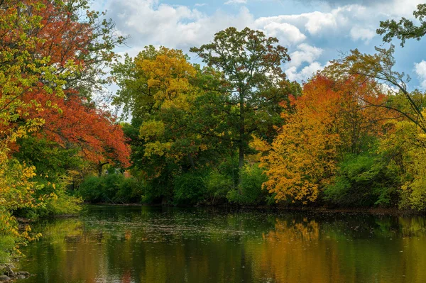 Colorful Autumnal Shoreline Red Cedar River East Lansing Michigan High — Stock Photo, Image