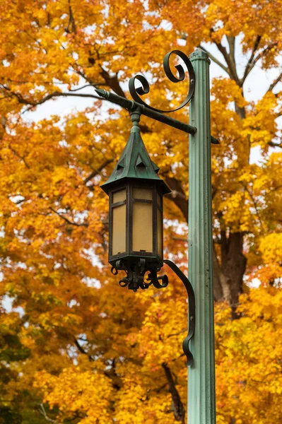 Historical Gothic Gas Light Style Street Lantern Fall Tree Colors — Stock Photo, Image