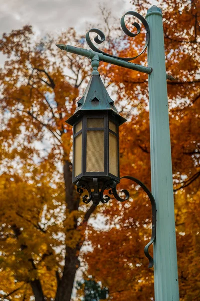 Closeup Historical Gothic Gas Light Style Street Lantern Fall Tree — Stock Photo, Image
