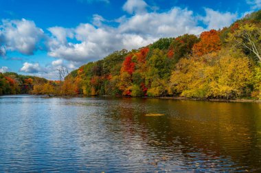 Grand Ledge 'deki Grand River nehrinde bulutlu bir gökyüzü ile canlı bir sonbahar yeşilliği. Yüksek kalite fotoğraf