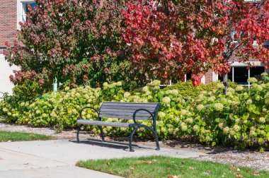 Yazın boş bir bankın yanında fotokopi alanı olan bir kaldırım. Yüksek kalite fotoğraf