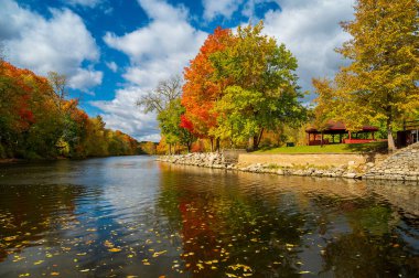 Grand Ledge 'deki Grand River nehrinde bulutlu bir gökyüzü ile canlı bir sonbahar yeşilliği. Büyük nehirde süzülen sarı yapraklar. Yüksek kalite fotoğraf