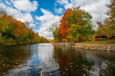 Grand Ledge 'deki Grand River nehrinde bulutlu bir gökyüzü ile canlı bir sonbahar yeşilliği. Büyük nehirde süzülen sarı yapraklar. Yüksek kalite fotoğraf