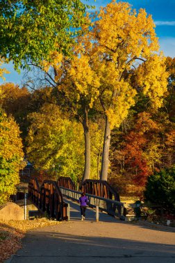 Düşen yaprakların zirvesi sırasında yaya köprüsünde koşan kadınlar. Yüksek kalite fotoğraf