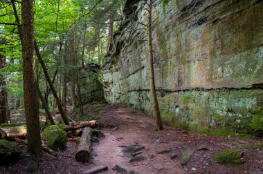 Hiking path next to stone wall on the Ledges Trail in Cuyahoga Valley National Park . High quality photo clipart