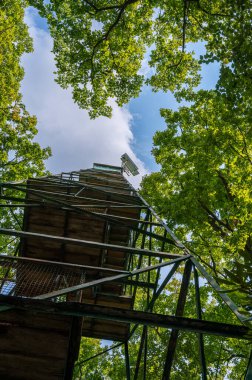 Tarihi Yangın Kulesi 9, Cook Ormanı Eyalet Parkı, Pennsylvania. Yüksek kalite fotoğraf