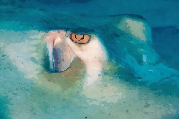 Digitally Created Watercolor Painting Common Stingray Flying Sandy Ocean Floor —  Fotos de Stock