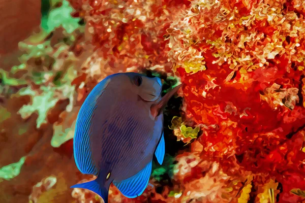 Aquarelle Réalisée Numériquement Représentant Acanthurus Coeruleus Nageant Dessus Récif Corallien — Photo