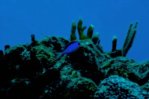 Dijital Olarak Blue Chromis Damelfish Chromis Siyanea Nın Mercan Resifinde — Stok fotoğraf