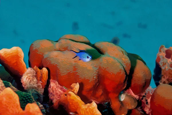 Digitálně Vytvořená Akvarelová Malba Tresky Tmavé Chromis Cyanea Plavající Nad — Stock fotografie