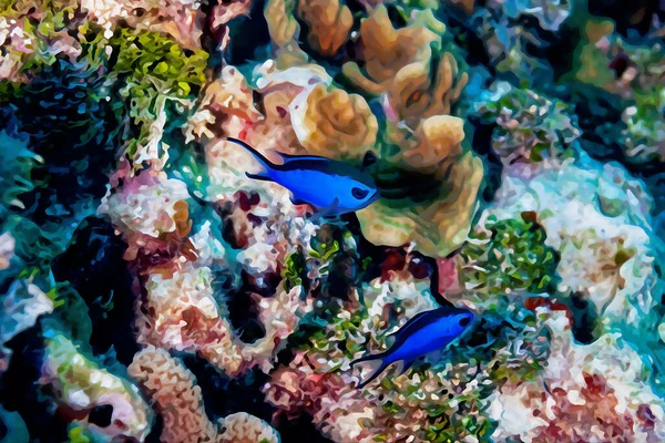Pintura Acuarela Creada Digitalmente Par Damelfish Chromis Azul Cyanea Nadando — Foto de Stock