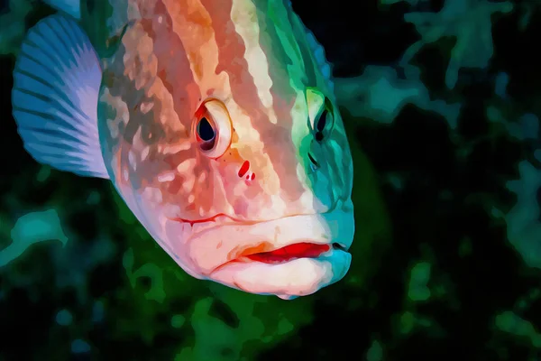 ナッソー グルーパー エピネフェルス ストラタスが水中で泳ぐ水彩画をデジタルで制作 高品質のイラスト — ストック写真