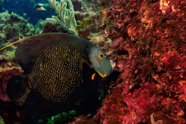 Pintura Acuarela Creada Digitalmente Pez Ángel Francés Nadando Sobre Arrecife — Foto de Stock