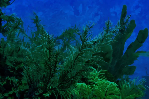 Pintura Aquarela Criada Digitalmente Uma Paisagem Marinha Subaquática Natural Que — Fotografia de Stock