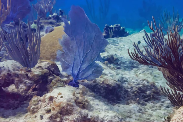 Цифрове Створення Акварельного Живопису Природного Підводного Моря Показує Величезну Екосистему — стокове фото