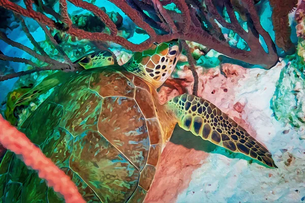 Pintura Acuarela Creada Digitalmente Una Tortuga Carey Buscando Comida Entre —  Fotos de Stock
