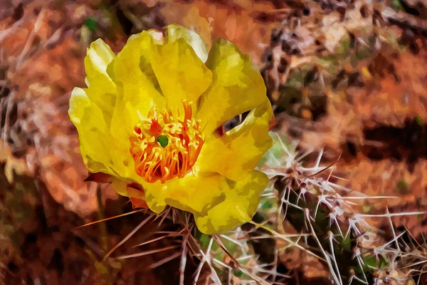 Cyfrowo Stworzony Akwarelowy Obraz Kaktusa Opuntia Phaecantha Pojedynczym Kwiatem Środowisku — Zdjęcie stockowe