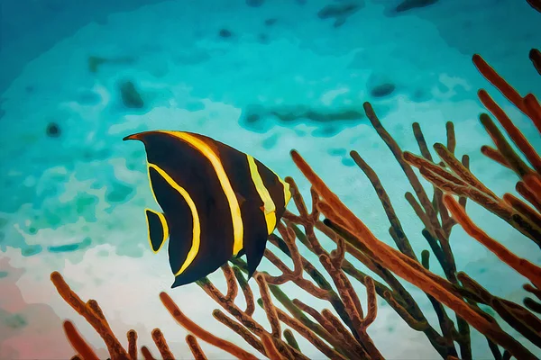 Digitally Created Watercolor Painting Juvenile French Angelfish Pomacanthus Paru Swimming — Stock Photo, Image