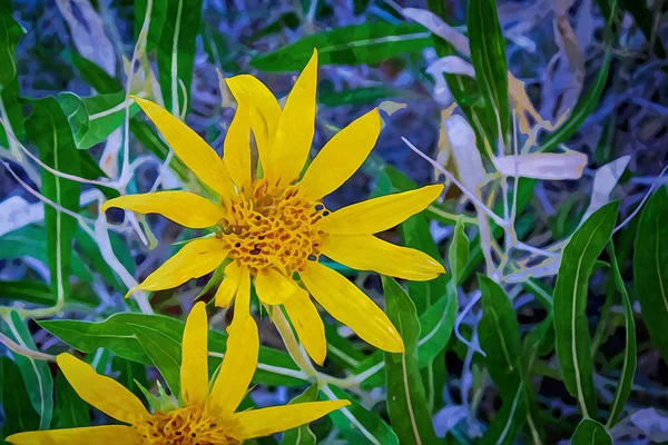 황금색 갈색의 꽃잎이 데이지같은 디지털 수채화 작품이다 질높은 — 스톡 사진