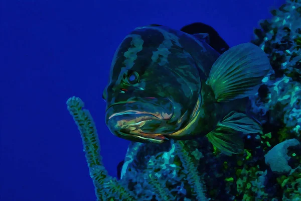 Pintura Aquarela Digitalmente Criada Nassau Grouper Epinephelus Striatus Nadando Debaixo — Fotografia de Stock
