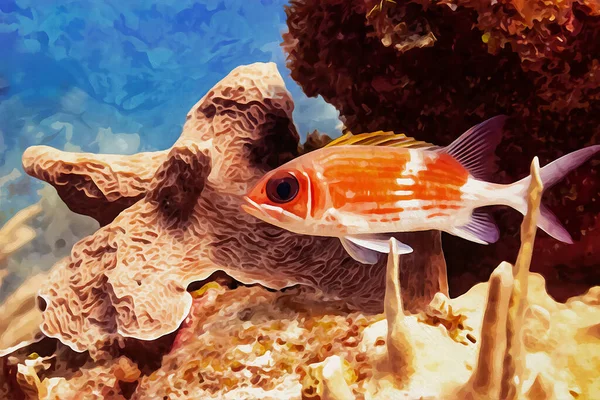 Aquarelle Réalisée Numériquement Squirrelfish Holocentrus Adscensionis Dans Récif Corallien Mer — Photo