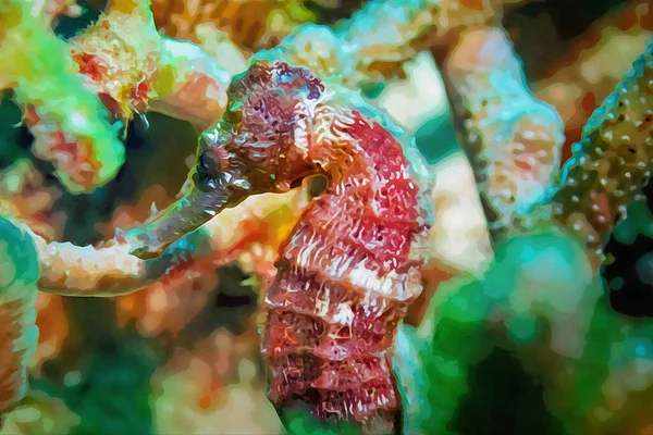 Цифрове Створення Акварельного Живопису Короткого Морського Коня Гіппокампуса Природному Середовищі — стокове фото