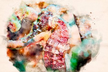 Dijital olarak kısa burunlu deniz atı Hipokampus hipokampüsünün doğal ortamında suluboya resmini yaptı. Yüksek kaliteli illüstrasyon