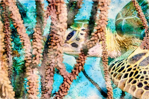 Digitally created watercolor painting of a hawksbill sea turtle searching for food among the coral reef. Watercolor painting. High quality illustration