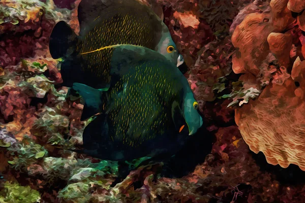 サンゴ礁の上を泳ぐフランスのアンジューフィッシュの水彩画をデジタルで作成しました 高品質のイラスト — ストック写真
