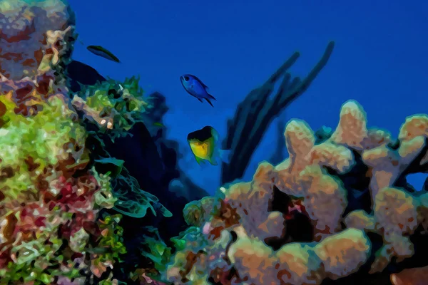数字创作的水彩画 一个双色的少女鱼在珊瑚礁上方游动 高质量的例证 — 图库照片